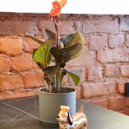 The Hidden Gem - 4 Smart And Quiet Block Appartement Riga