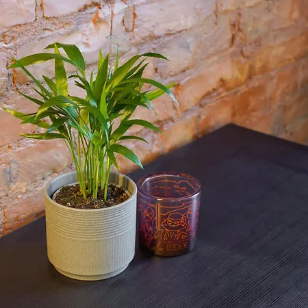 The Hidden Gem - 4 Smart And Quiet Block Appartement Riga